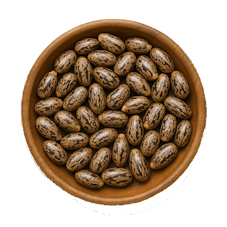 castor oil seeds 1